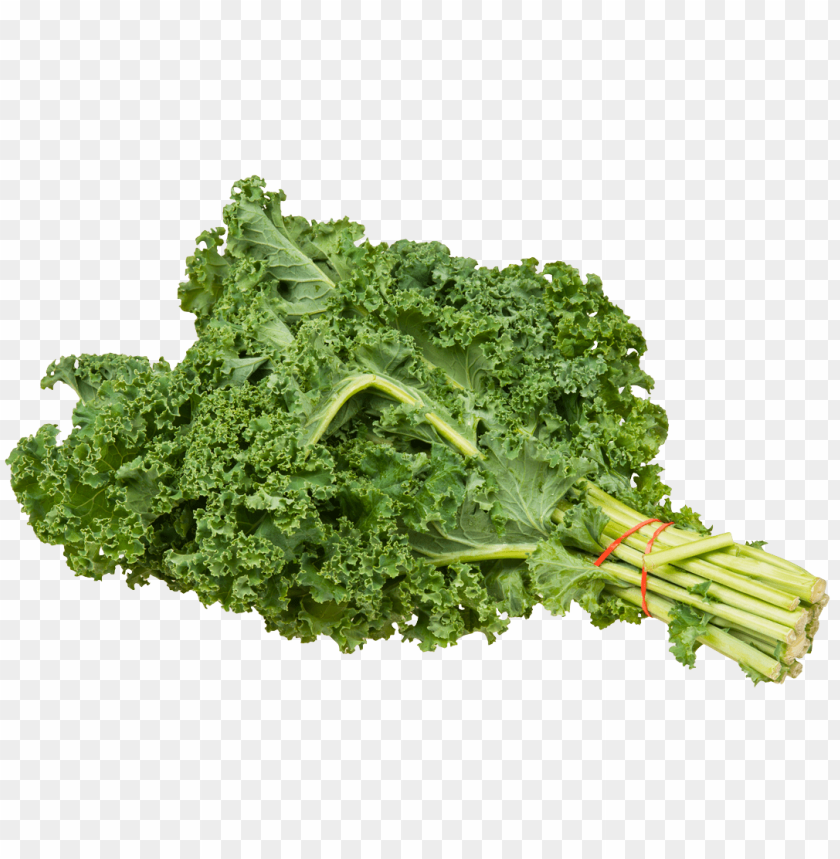 Kale, Nutrition, Health Benefits, Recipes, Gardening