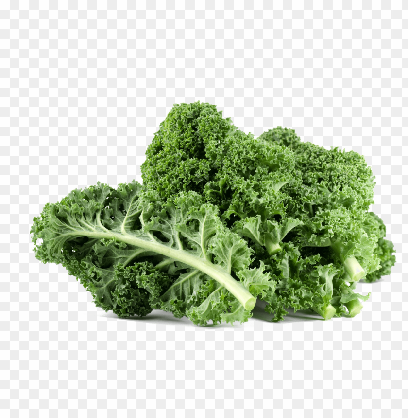 vegetables, kale, leaf cabbage, green leaves, borecole,الخضار ، اللفت , أوراق الملفوف 