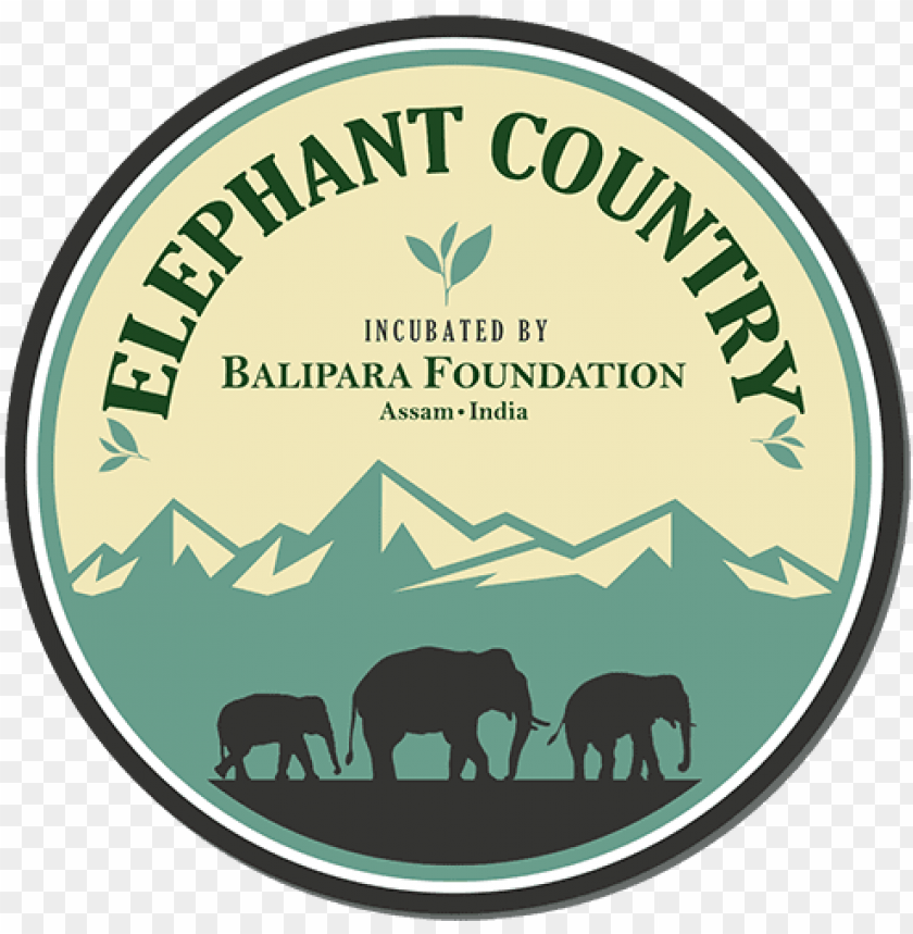 elephant, elephant silhouette, baby elephant, republican elephant, elephant clipart, elephant head