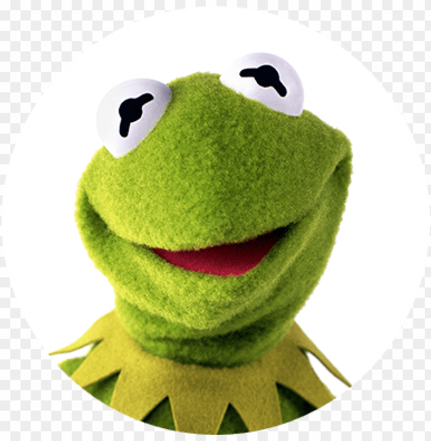 kermit the frog, amphibian, nature, tree, frog, wildlife, animal