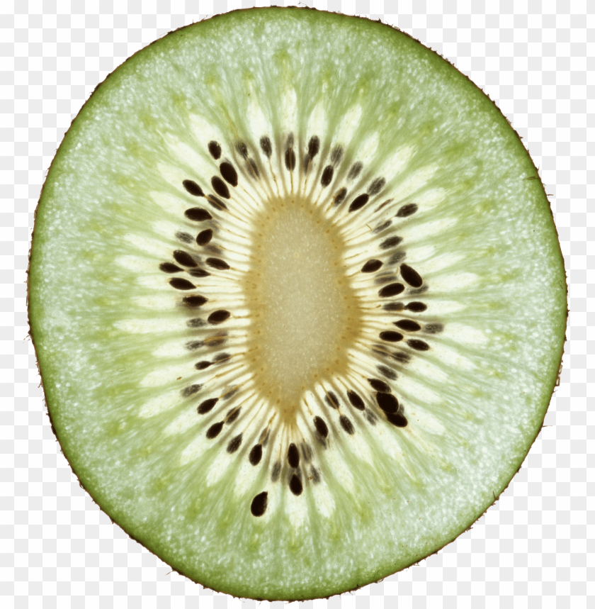 
kiwi
, 
chinese gooseberry
, 
berries
, 
kiwifruit
, 
hayward
, 
fruit
, 
food
