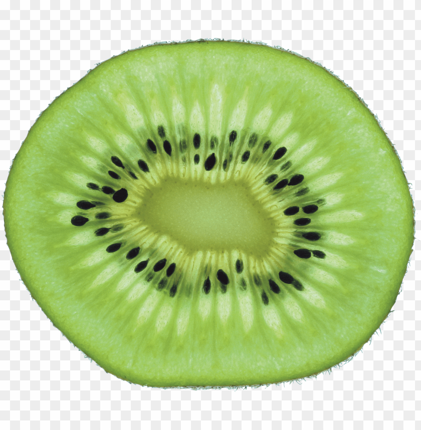 
kiwi
, 
drawing
, 
fruit
, 
food
, 
delicious
