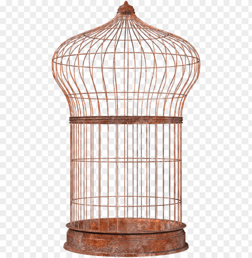 bird cage, phoenix bird, twitter bird logo, big bird, steel cage, bird wings