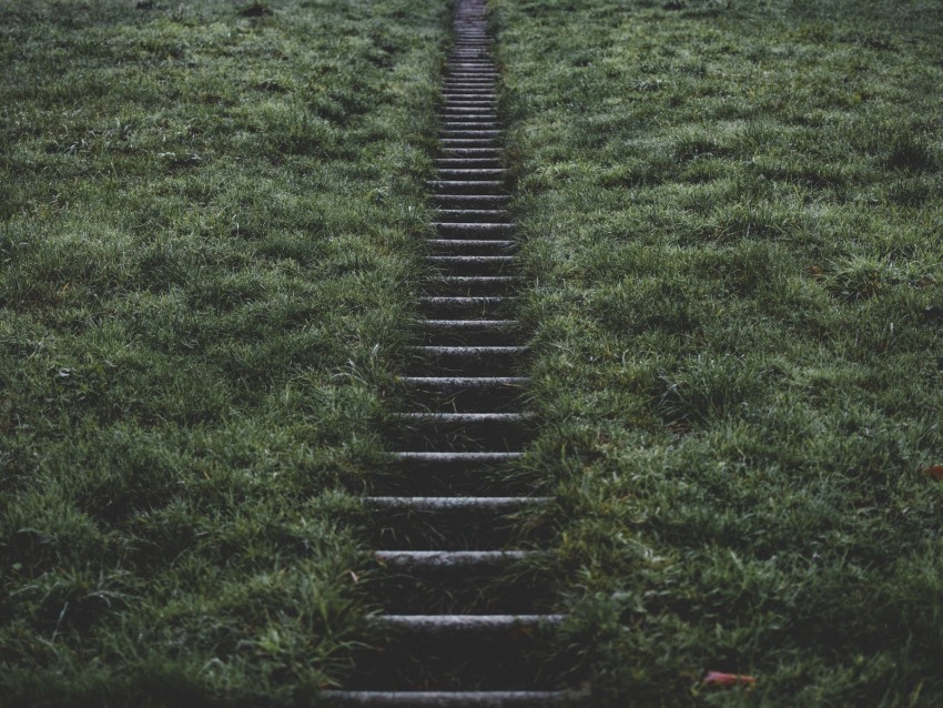 staircase path, outdoor steps, lush grass, nature trail, tranquil scenery