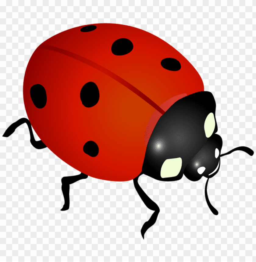 spring png, ladybug png