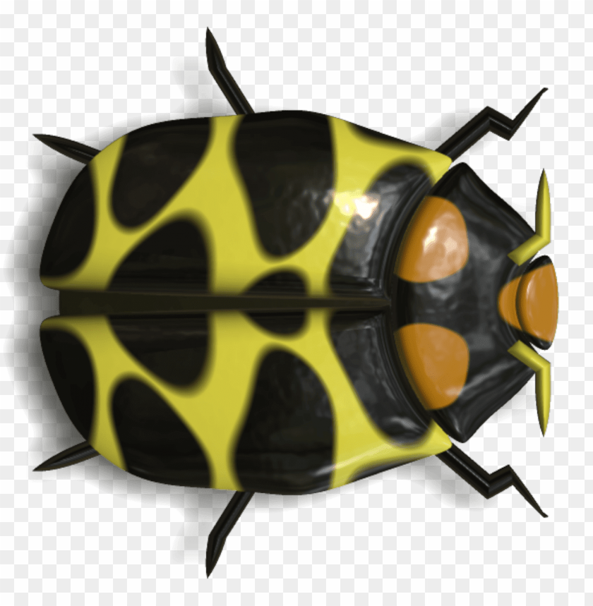 animals, insects, ladybugs, ladybug black and yellow, 