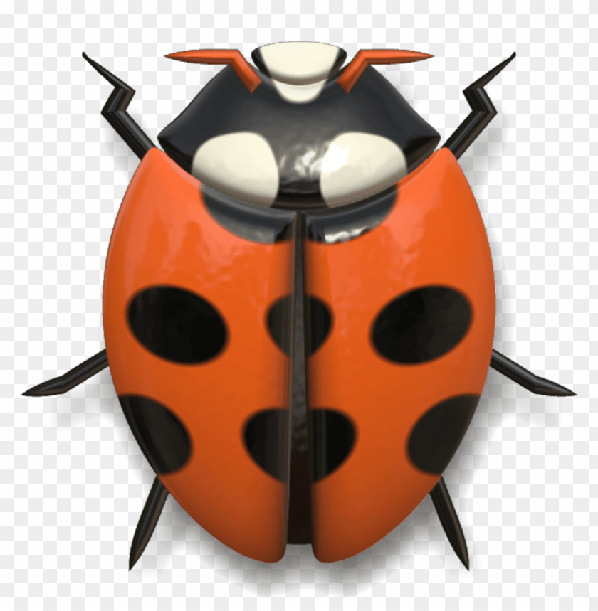 Ladybug PNG, Ladybug Insect PNG for Bug and Nature Illustrations