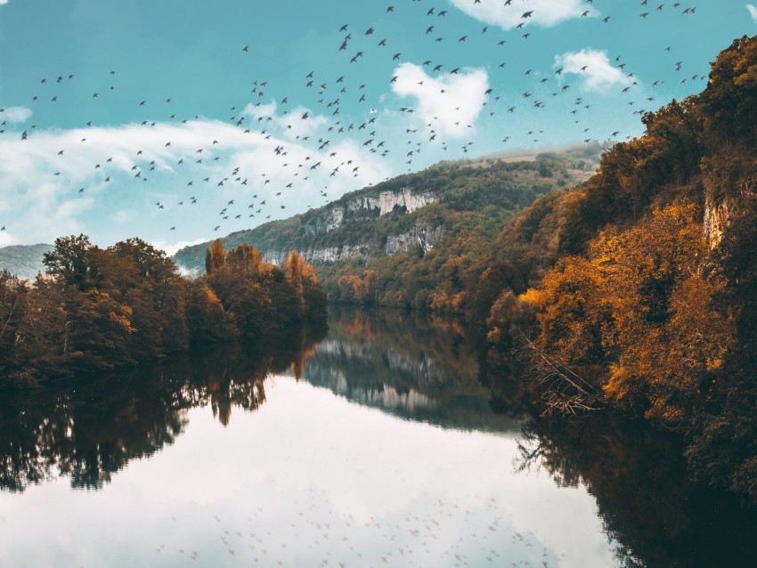 lake, birds, trees, flight, reflection, autumn