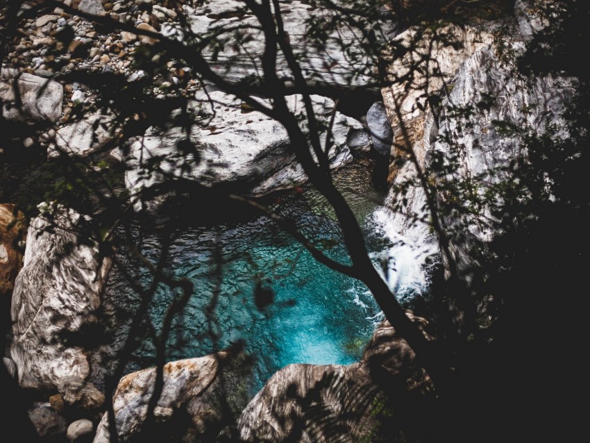 lake, branches, stones, water