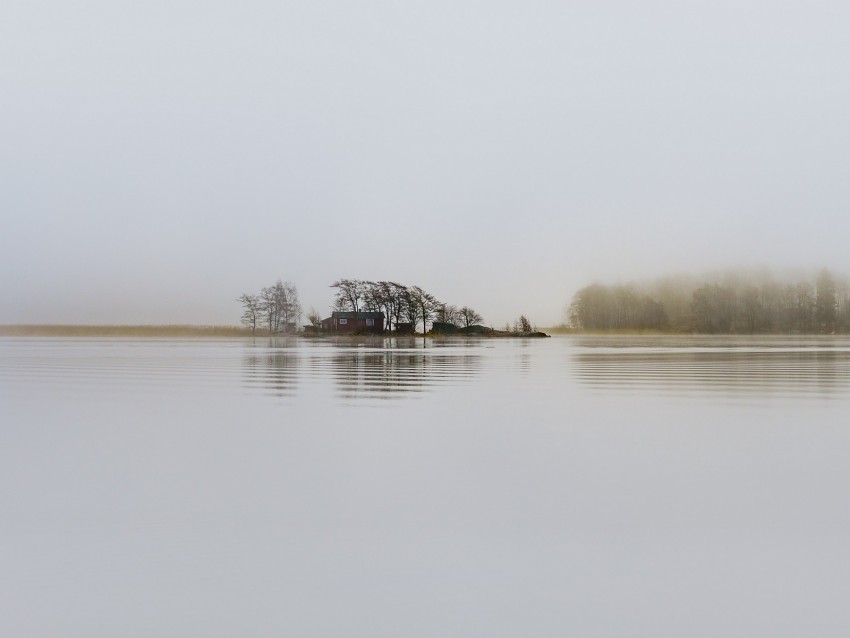 lake, fog, house, silence, trees, helsinki, finland