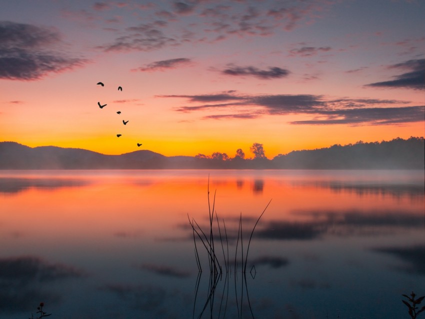 Lake Fog Sunset Twilight Landscape Background