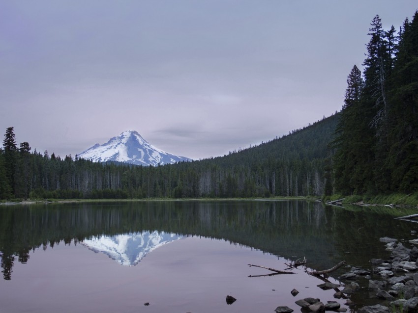 Lake Forest Mountain Peak Landscape Background