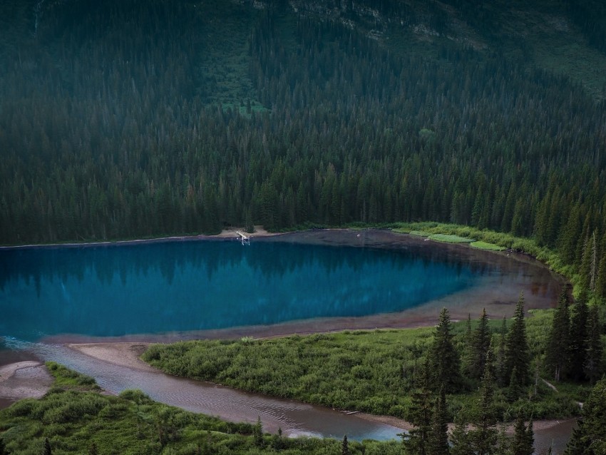 lake, forest, shore, slope, landscape