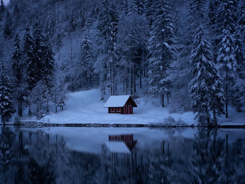 lake, forest, snow, winter, trees