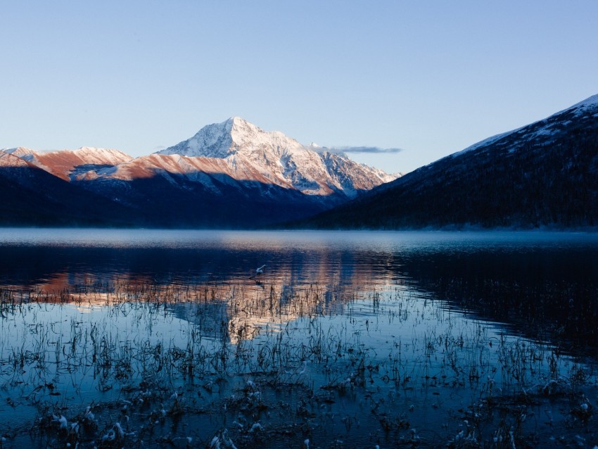 lake, mountain, water, grass, snow