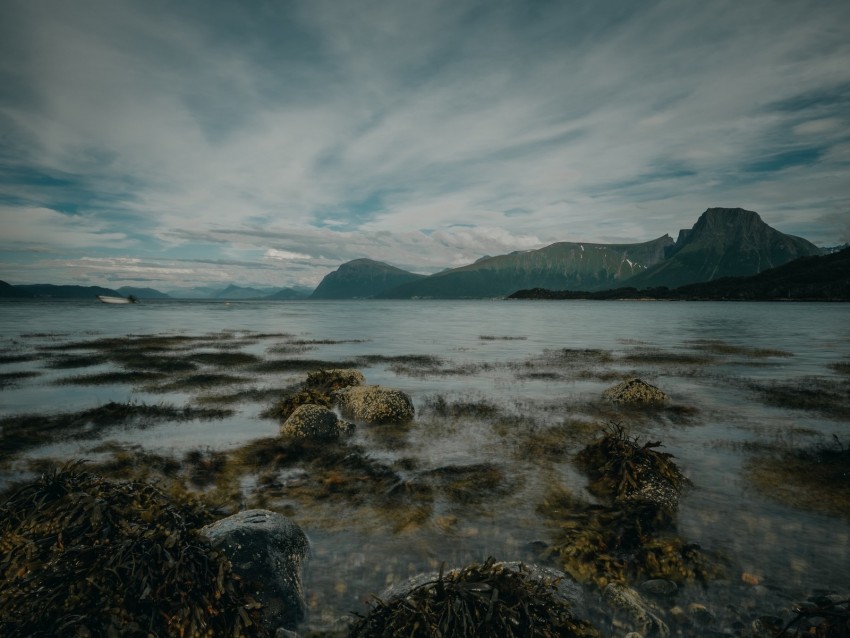 lake, mountains, shore, stones, seaweed