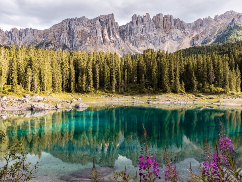 lake, mountains, trees, landscape, mountain landscape, italy