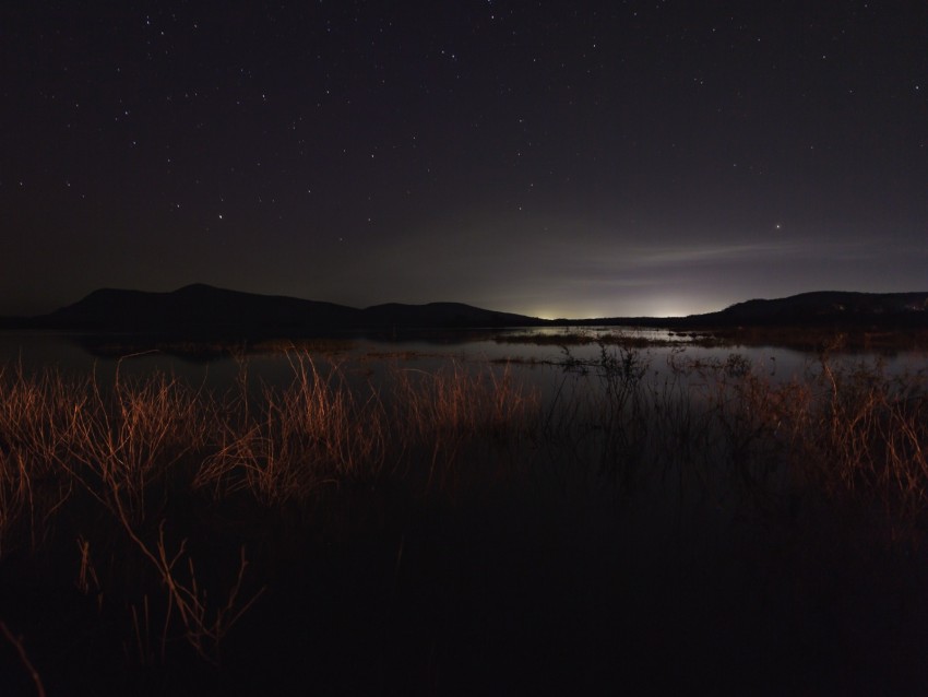 Lake Night Starry Sky Grass Darkness Background