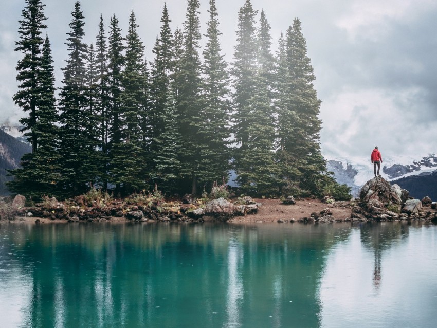 Lake Shore Trees Stones Silhouette Mountains Background