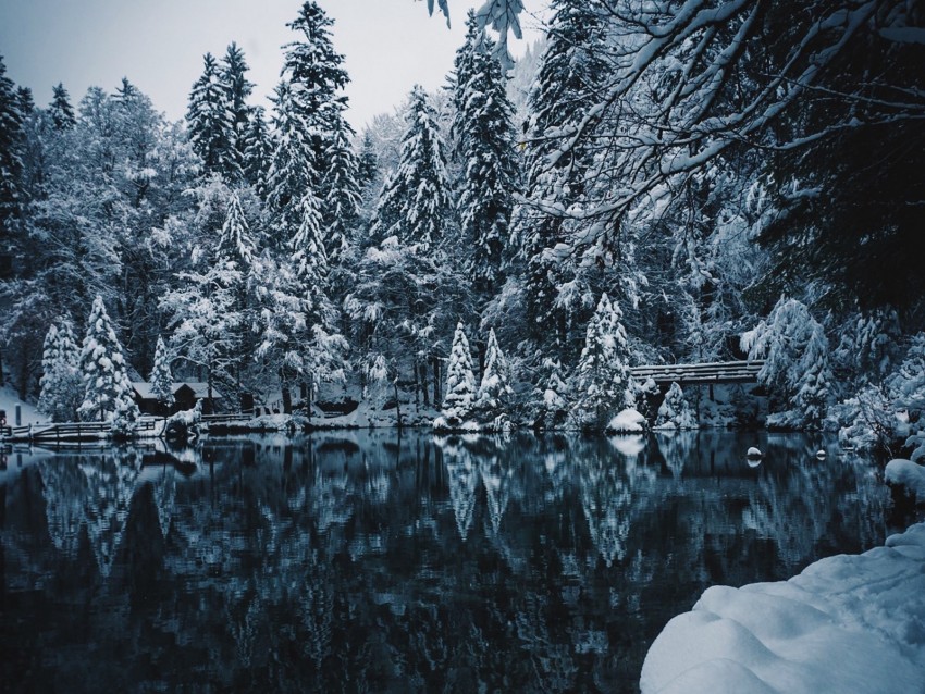 lake, snow, branches, winter, snowy