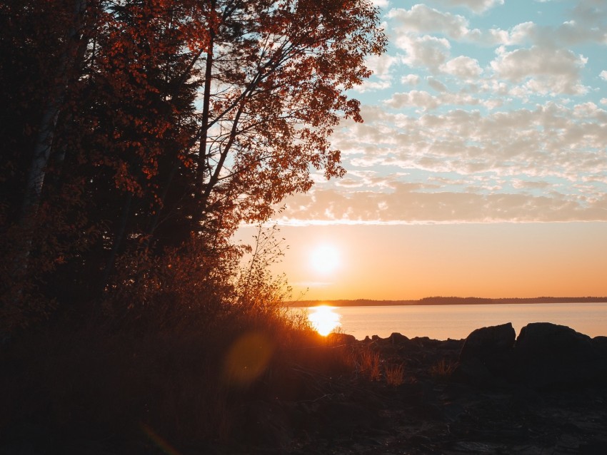 Lake Sunset Trees Sky Horizon Branches Grass Background