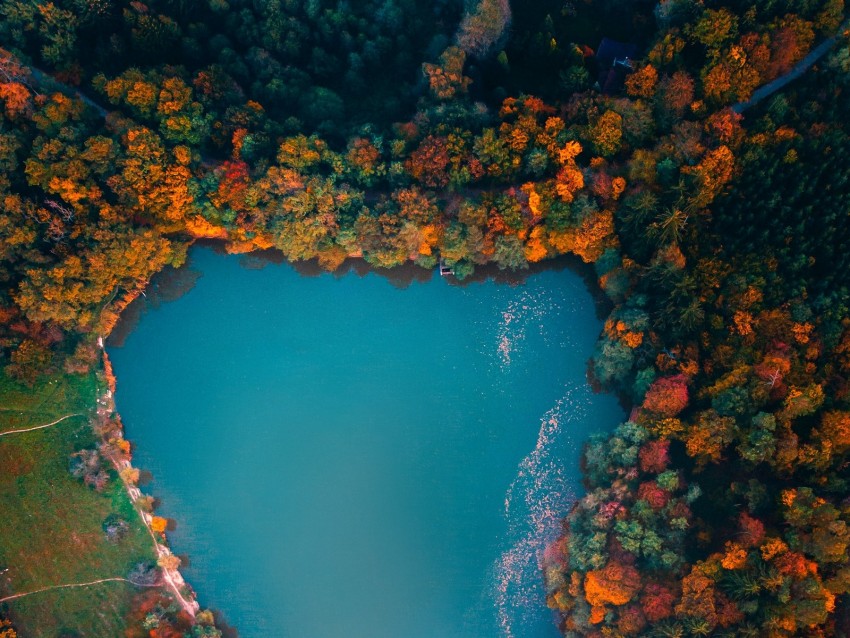 Lake Trees Aerial View Autumn Hungary Background