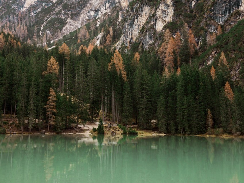 lake, trees, mountain, landscape