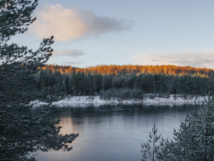 lake, winter, snow, frost, winter landscape