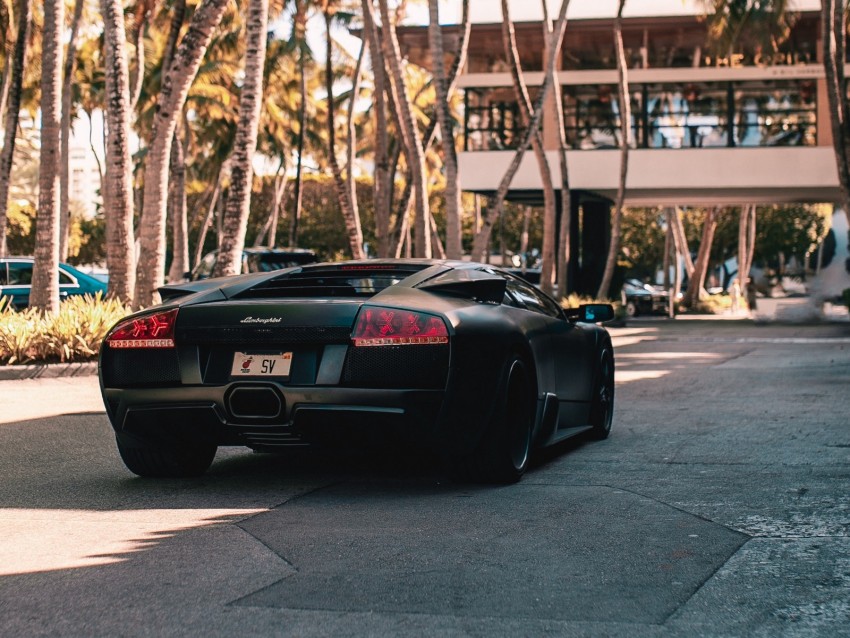 Lamborghini Aventador Lamborghini Rear View Luxury Black Palm Trees Background