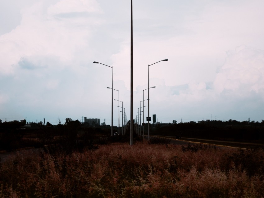 urban landscape, street lights, road perspective, overgrown vegetation, cloudy sky