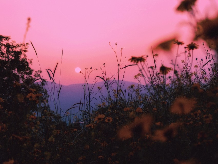 Landscape Grass Sun Mountains Sunset Horizon Background