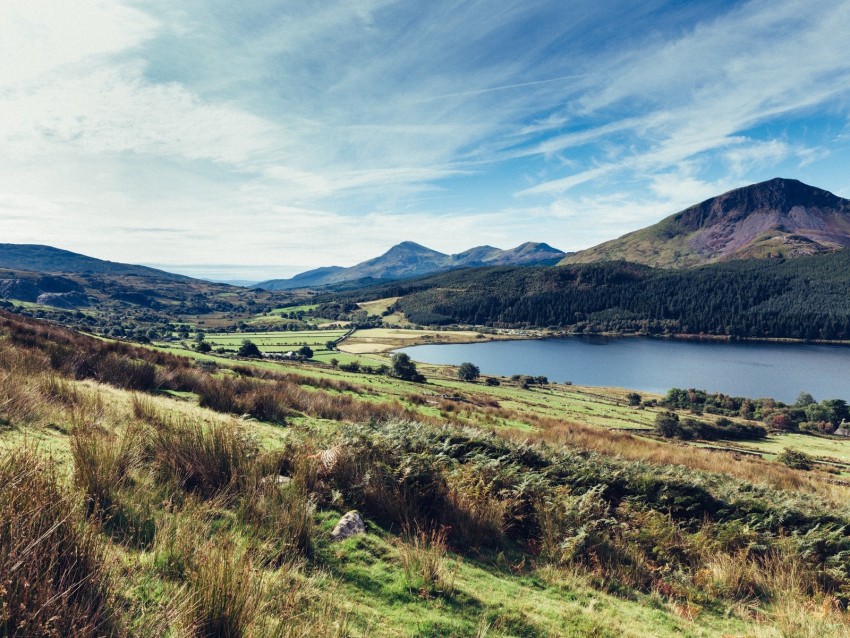 landscape, lake, mountains, forest, nature