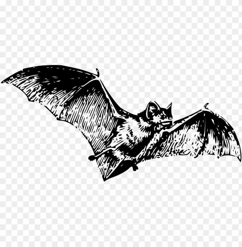 miscellaneous, tattoos, large bat tattoo, 