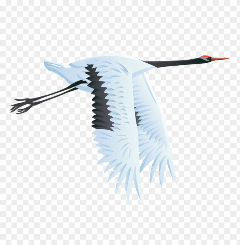 birds png ,bird