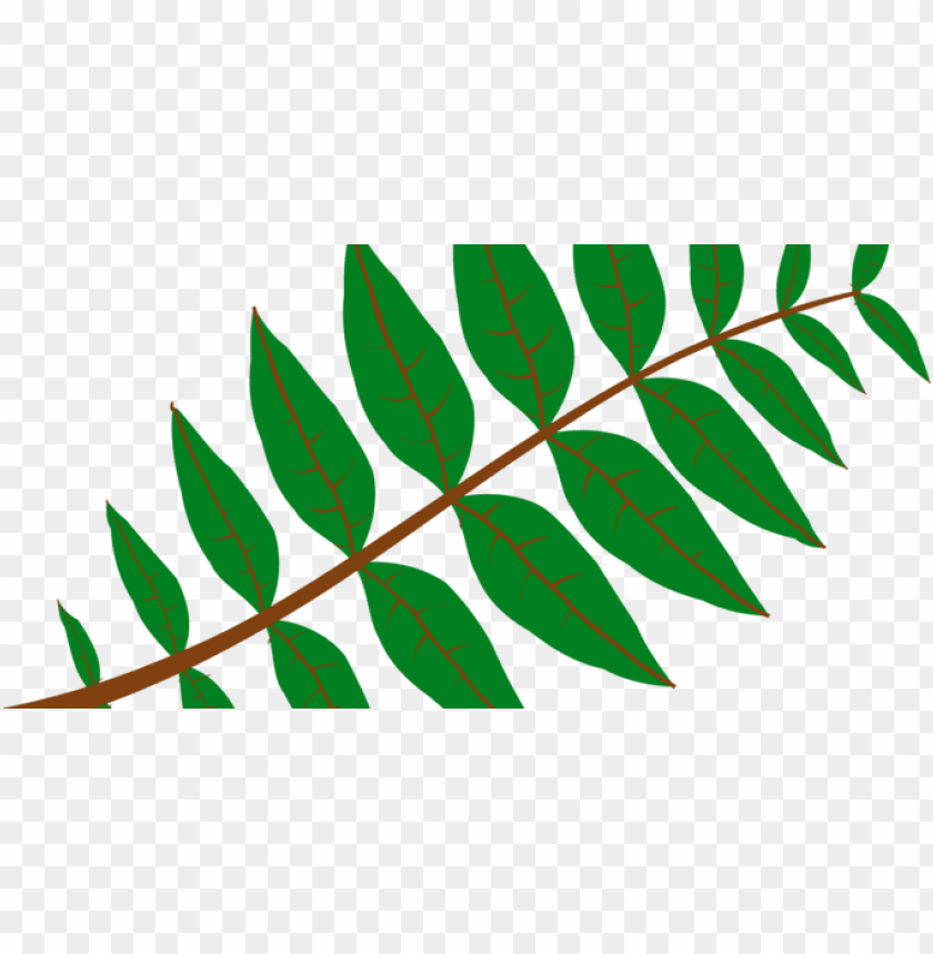 leaf crown, green leaf, leaf clipart, pot leaf, palm tree leaf, weed leaf