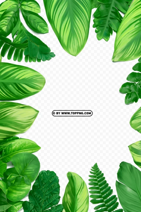 Leaves Frame, Leaves Frame Transparent PNG, Leaves Frame PNG, Nature Frame PNG, Nature Frame Transparent PNG, Nature Frame, Forest Frame PNG