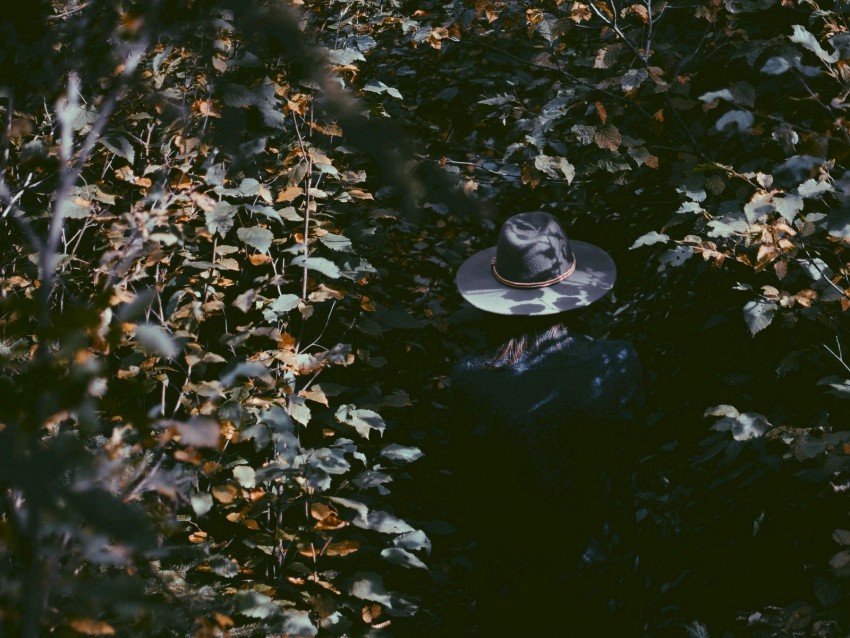 leaves, hat, man, shadow