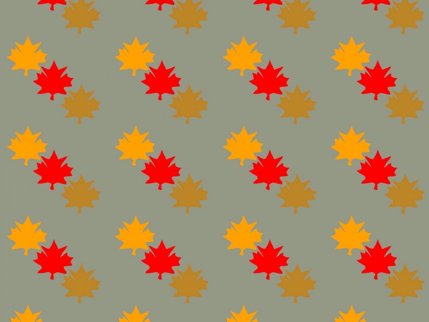 Leaves Maple Autumn Patterns Texture Background