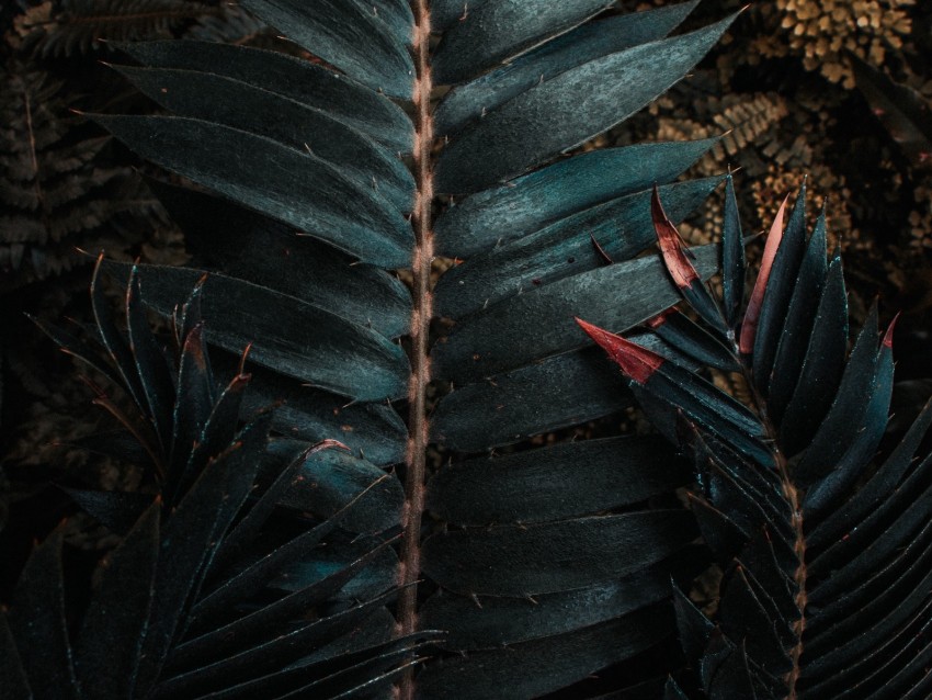 Leaves Plant Carved Exotic Background