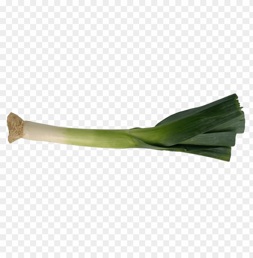 
vegetables
, 
leek
