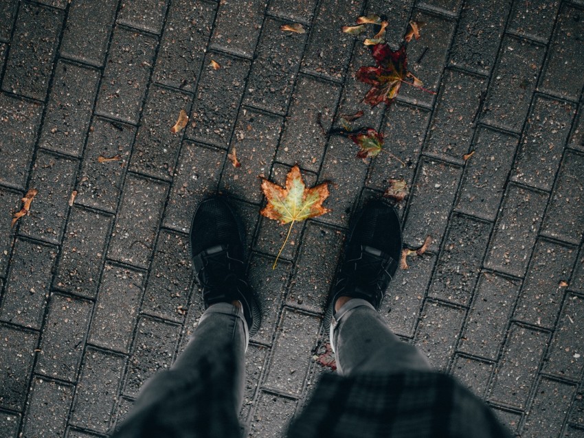 Legs Paving Stones Leaves Dry Autumn Background