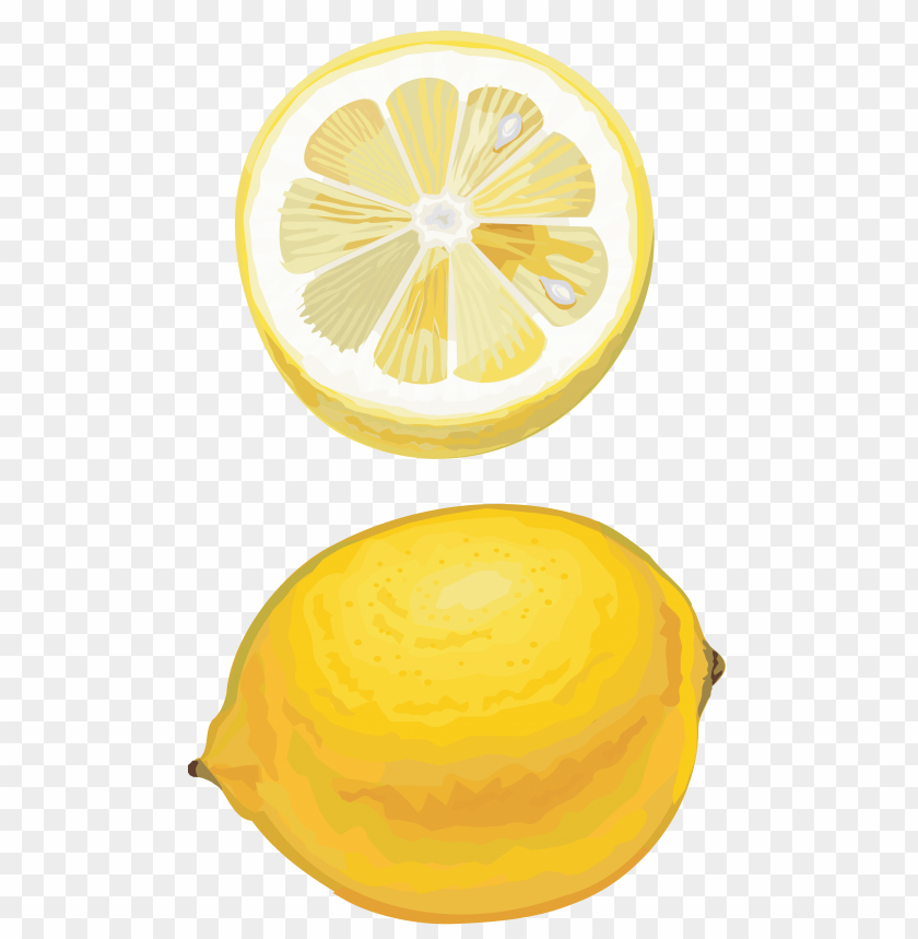 lemon, citrus fruit, yellow fruit, sliced lemon, whole lemon, fresh lemon, tropical fruit