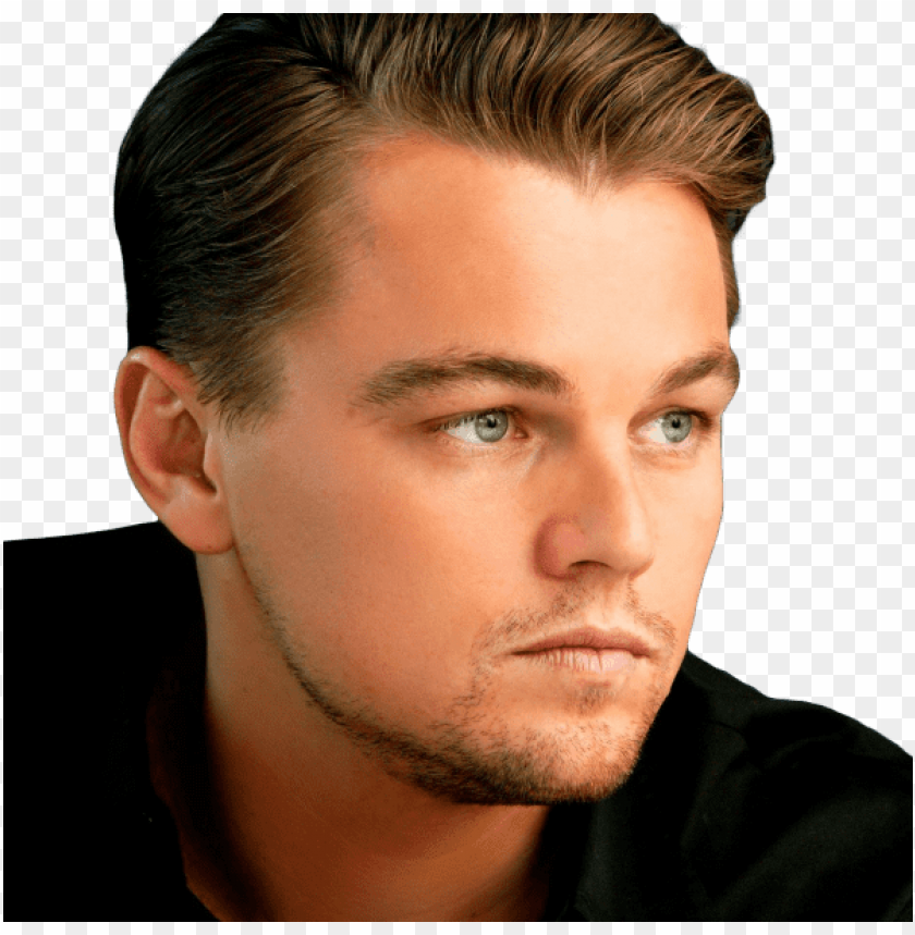 
leonardo dicaprio
, 
leonardo
, 
dicaprio
, 
wilhelm
, 
american actor
, 
film producer
