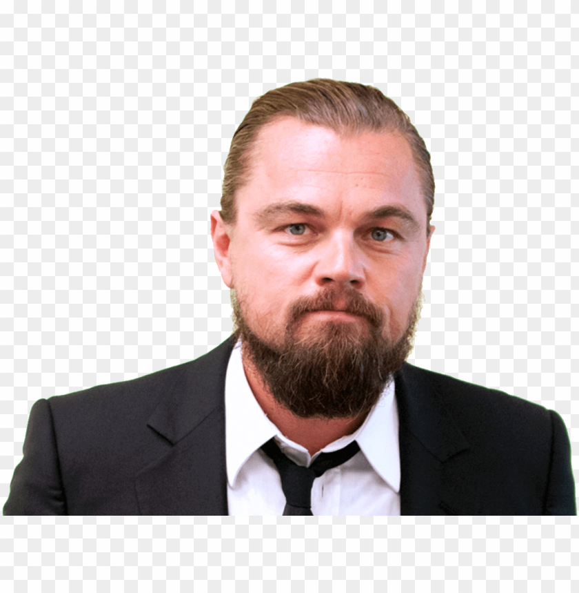 
leonardo dicaprio
, 
leonardo
, 
dicaprio
, 
wilhelm
, 
american actor
, 
film producer
