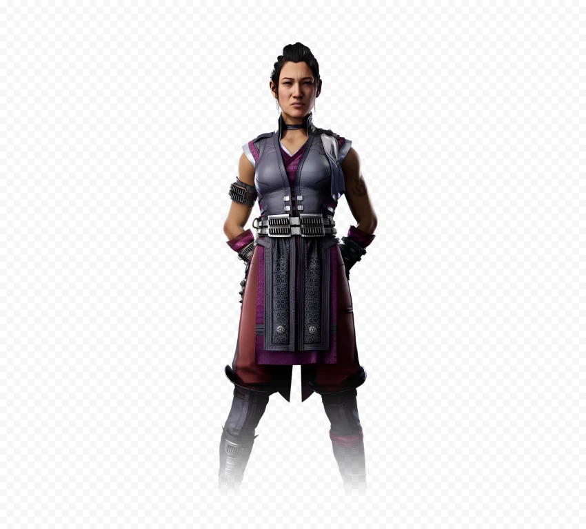 Li Mei Mortal Kombat Portrait Character PNG Transparent Background