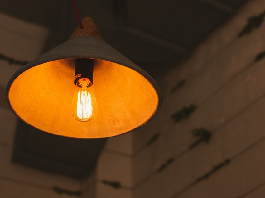 light bulb, lamp, lamp shade, electricity, light, incandescent lamp