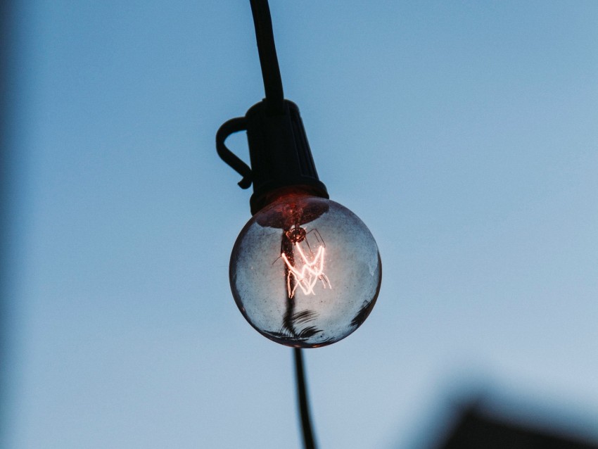 light bulb, wire, light, lighting, electricity