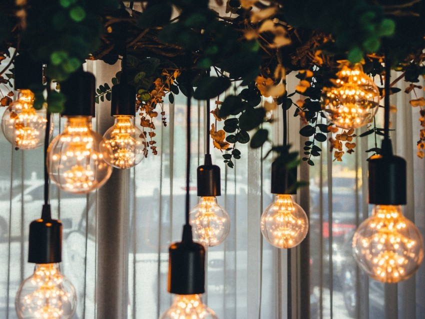 light bulbs, electricity, lighting, decoration, windows