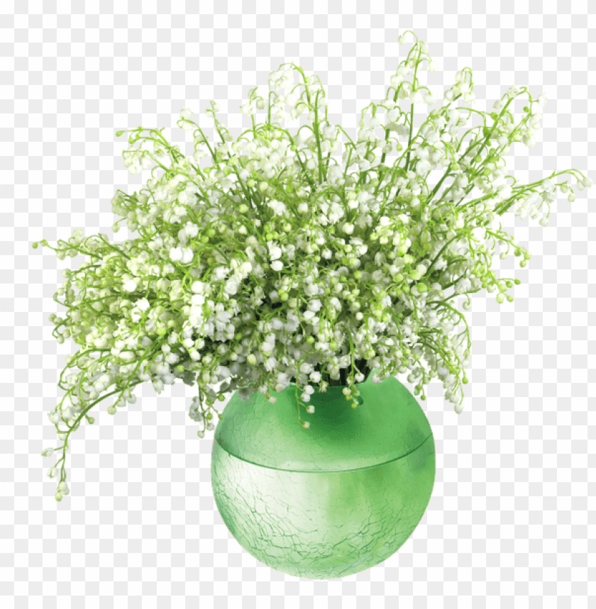 lily of the valleyin vase