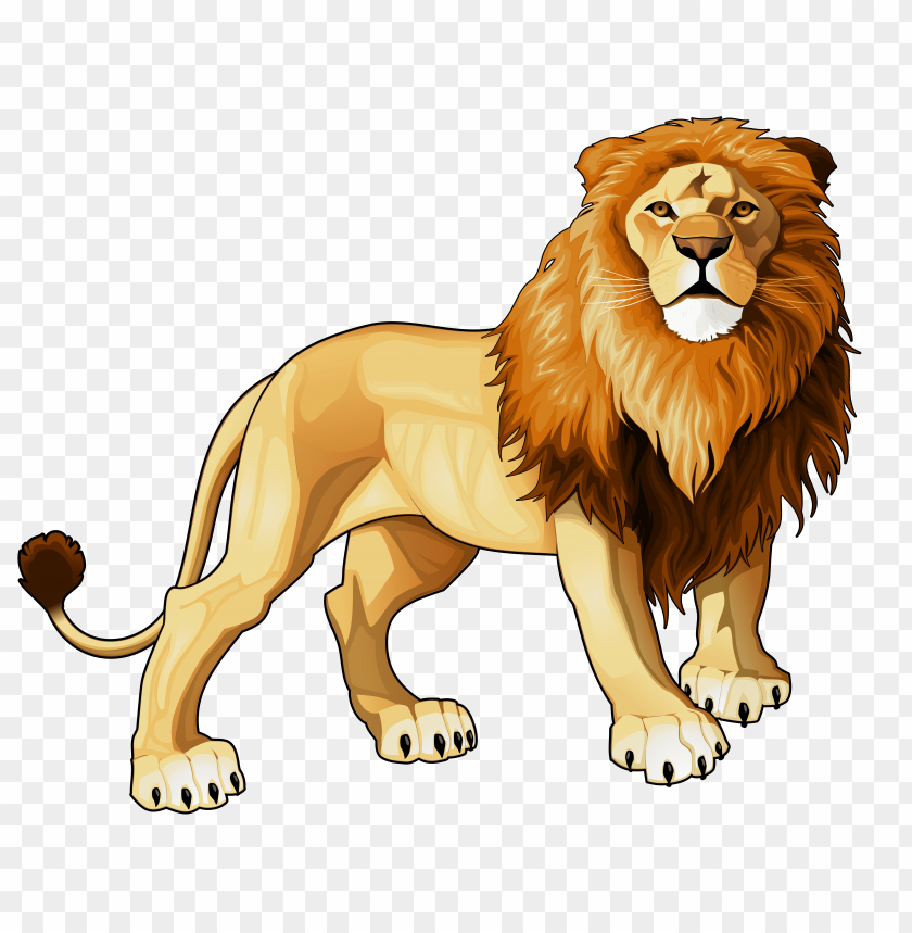 lion, wild animal, big cat, mammal, nature, wildlife, safari